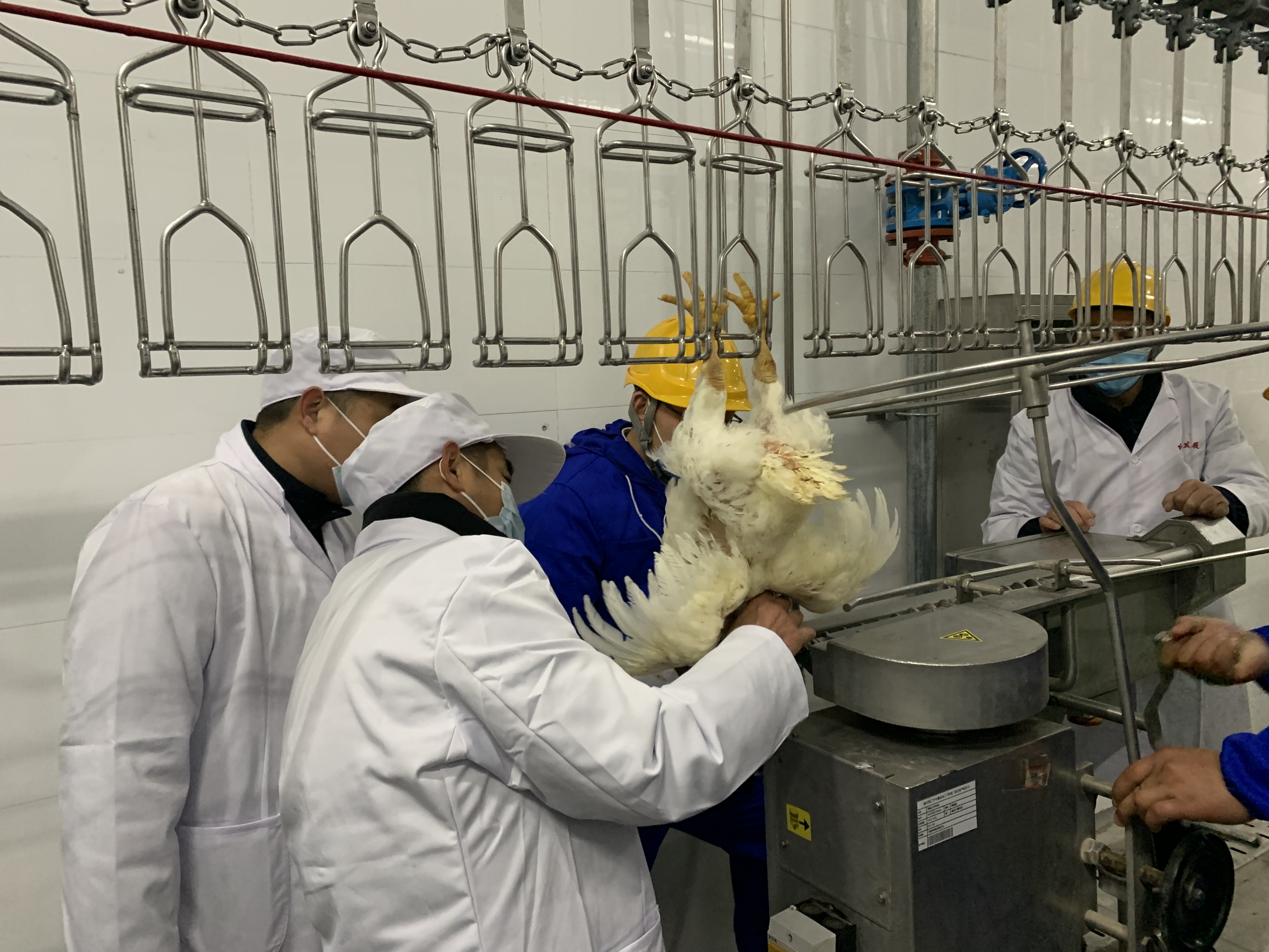 设备调试.jpg 设备调试.jpg