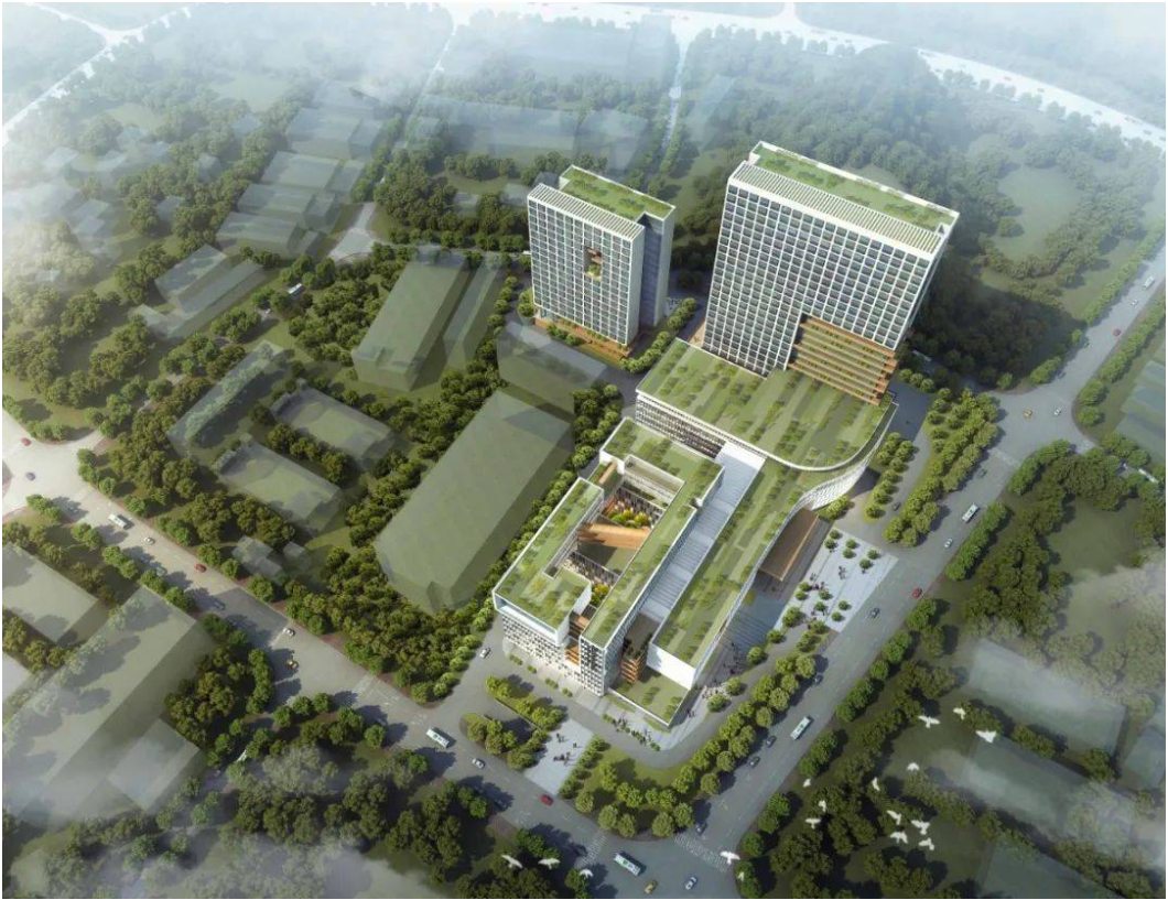 龙华区中医院.png