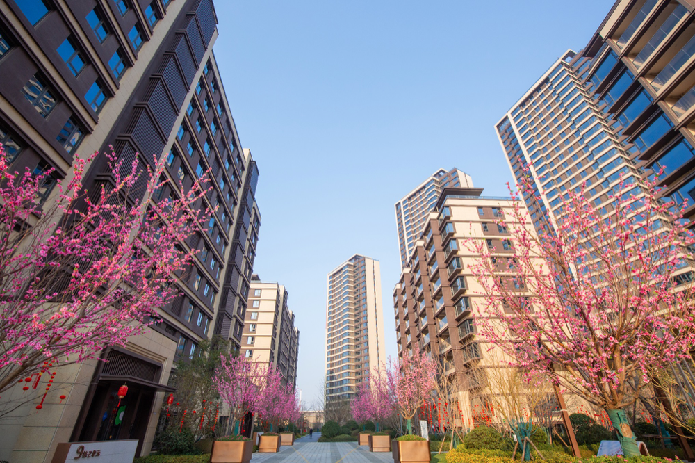 项目风采 (2).png