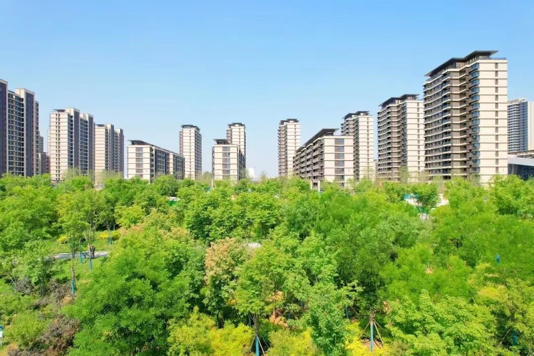 项目风采 (1).jpg