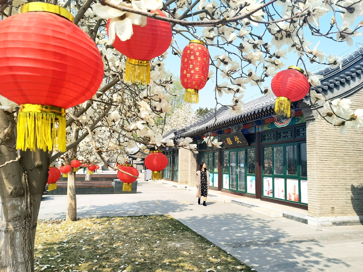 漕运码头仿古建筑古韵悠长.jpg 漕运码头仿古建筑古韵悠长.jpg