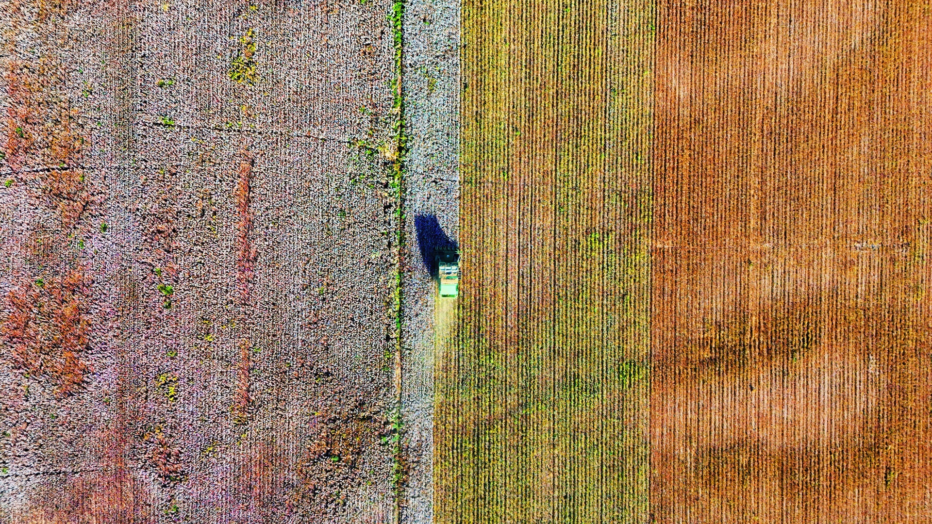 DJI_20240929173556_0027_D_副本_副本.jpg