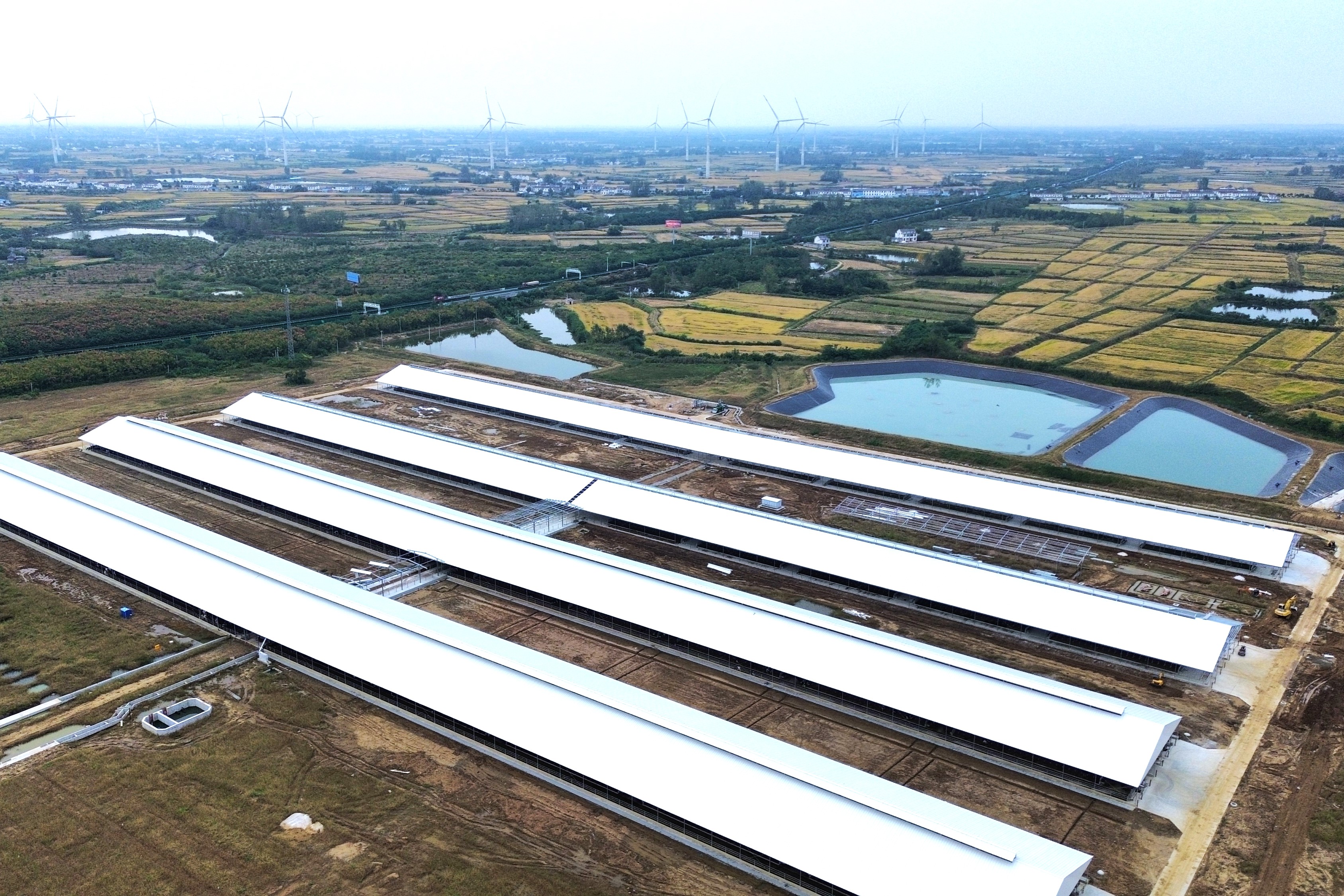 项目实景.jpg 项目实景.jpg