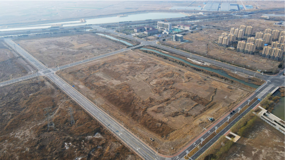 图六：项目建设前的盐碱荒地.png
