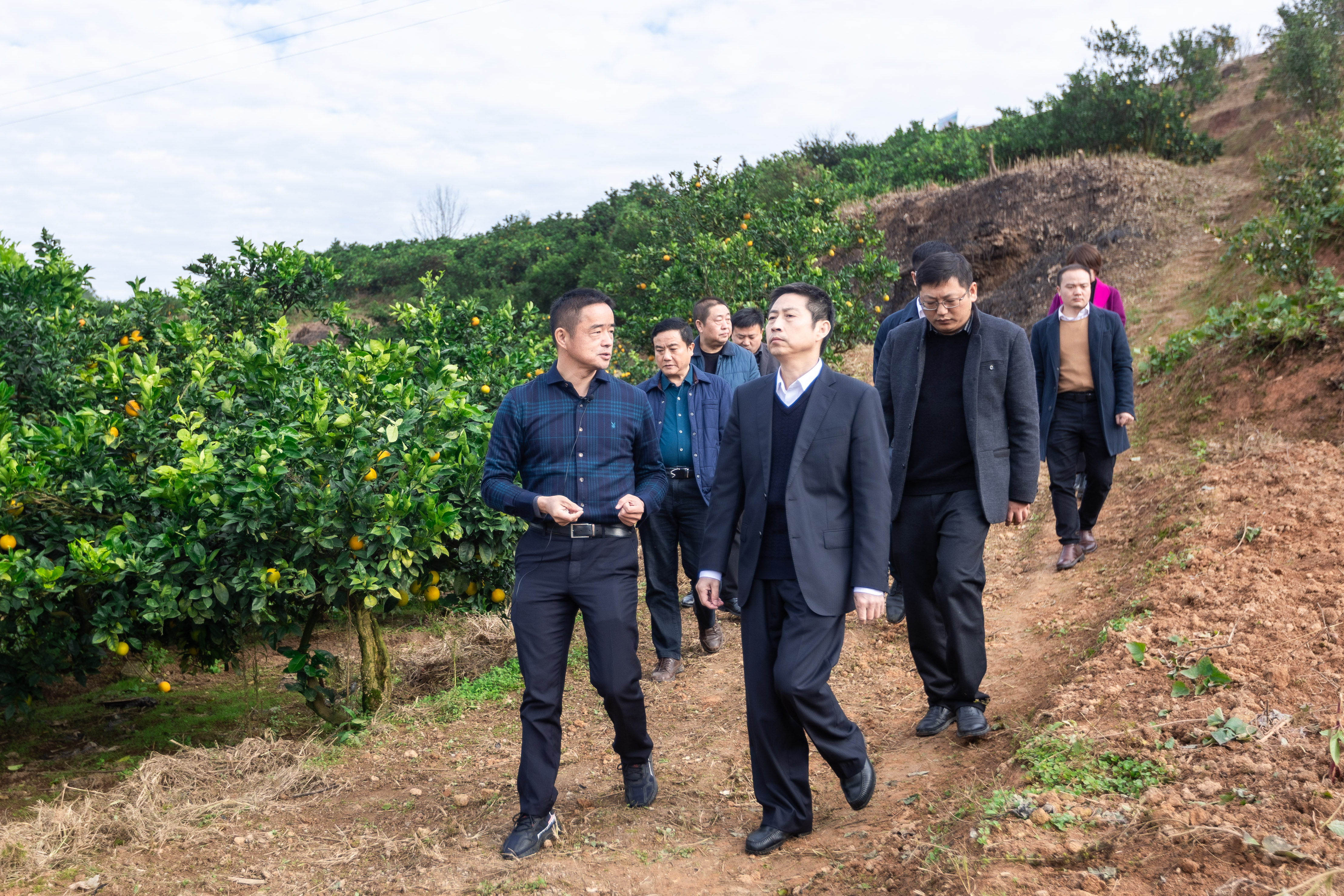 推进乡村振兴中建五局多位局领导赴湘西永顺县立烈村考察调研