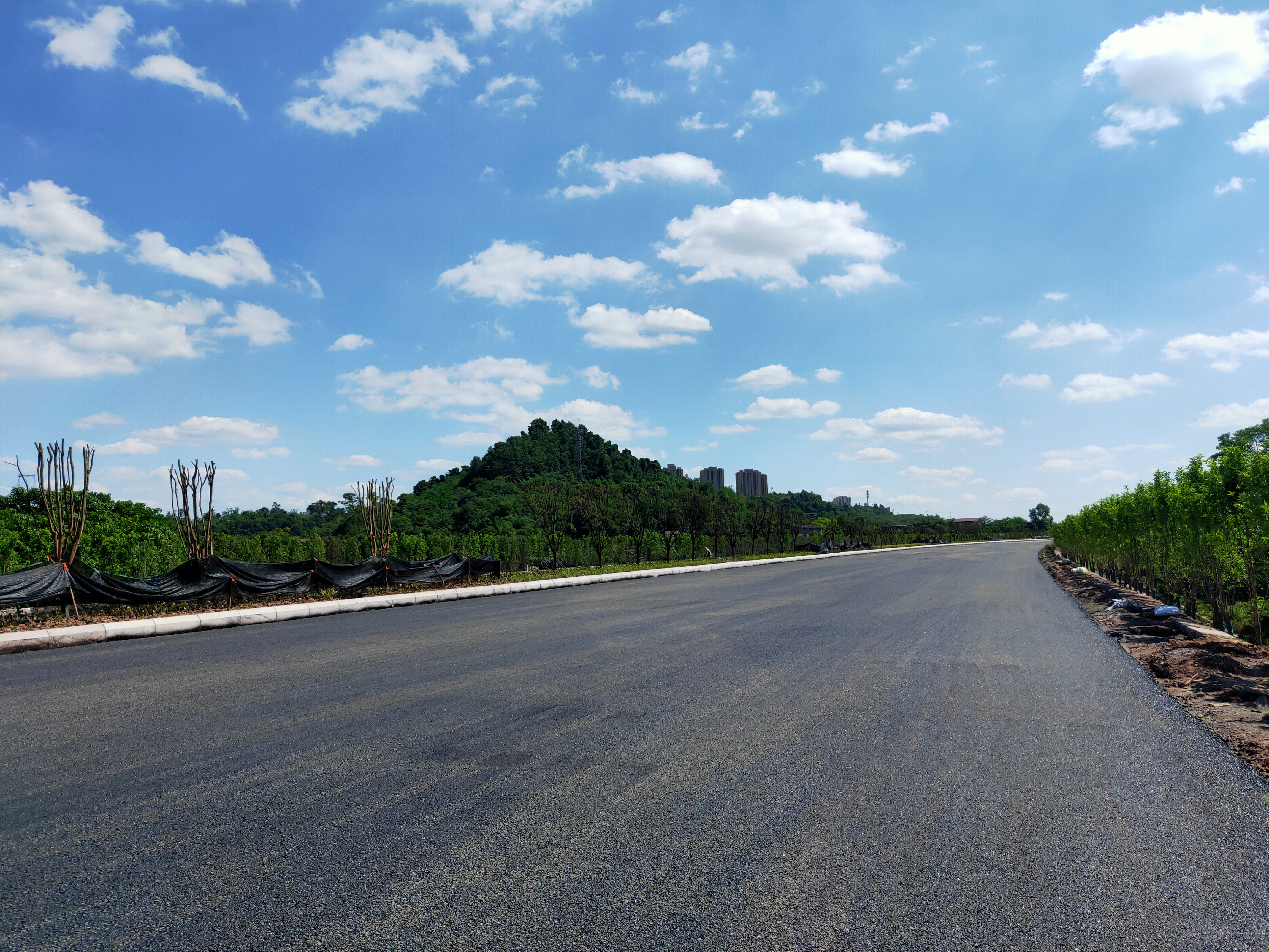 5月16日,重庆市快速路二横线西段项目桃家院子段沥青路面正式开始摊铺