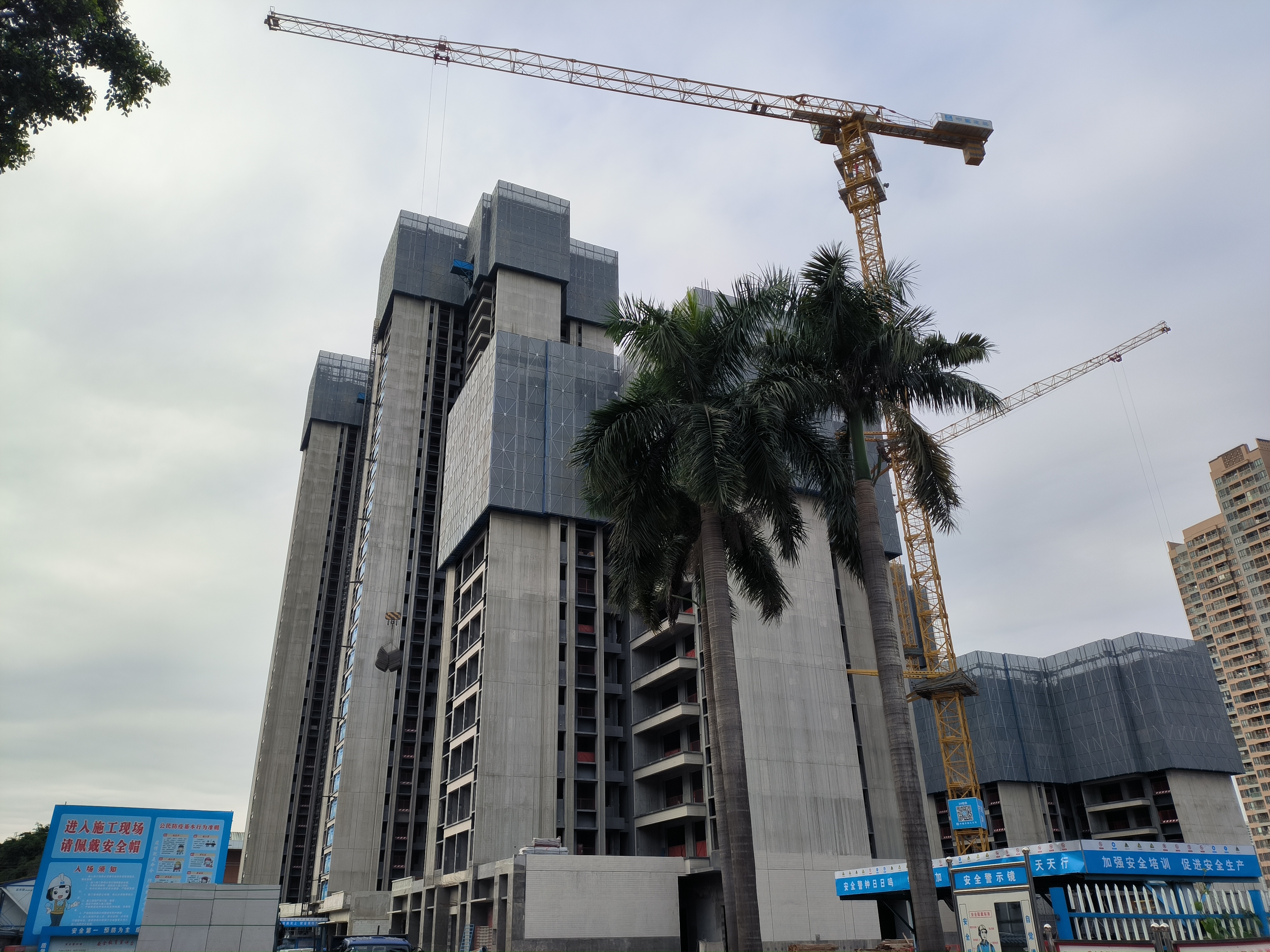 1#2#栋封顶  (4).jpg