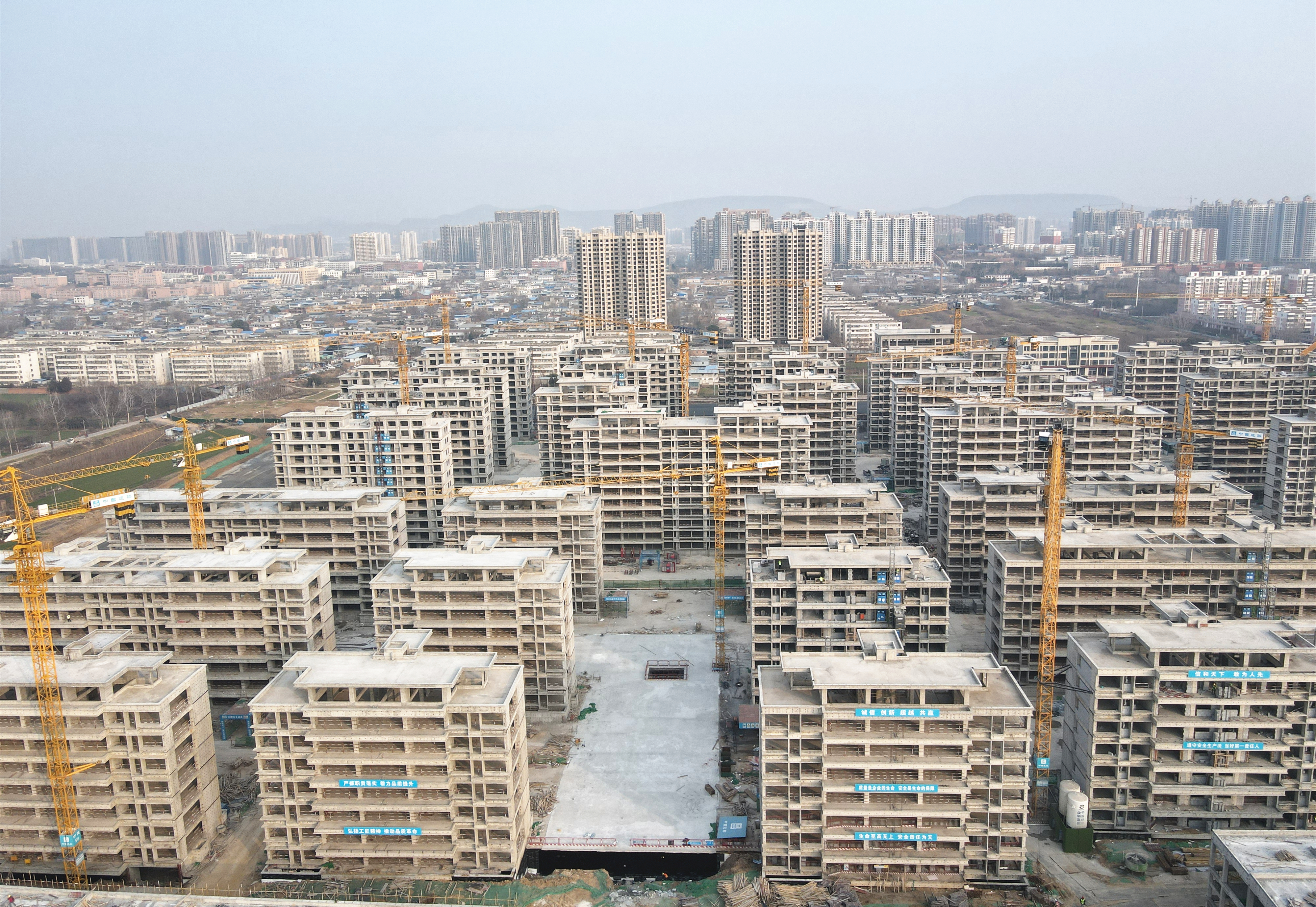 W020230110405632879041_副本.jpg W020230110405632879041_副本.jpg