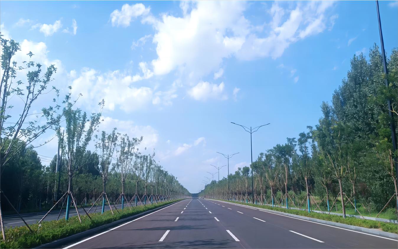 实景图.jpg