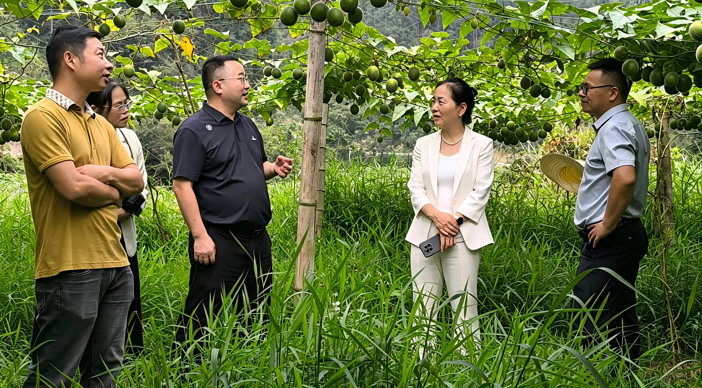 微信图片_20260917110739_181_25(1).png