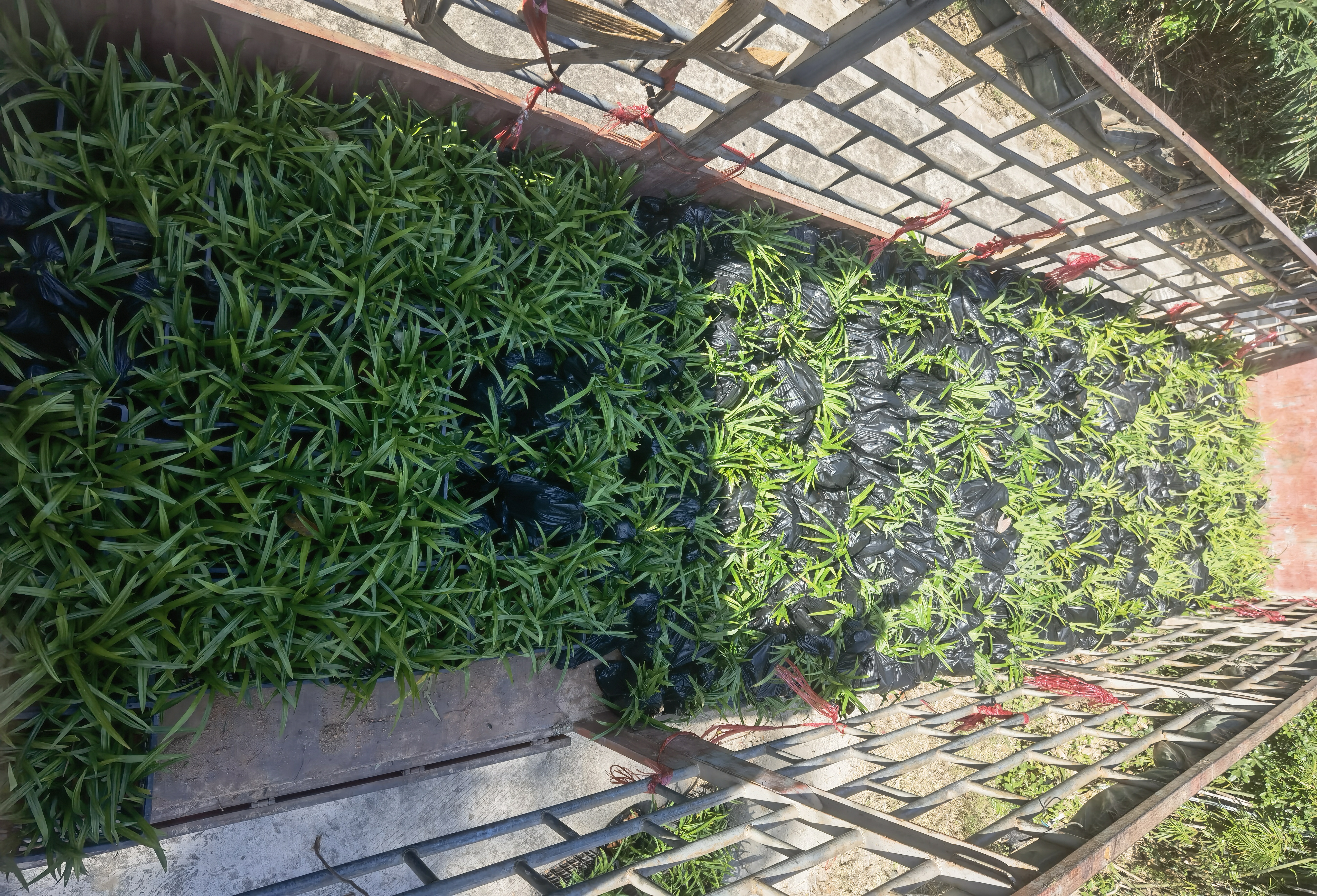 华南公司华润石梅湾联合党支部联合海南省应急管理厅