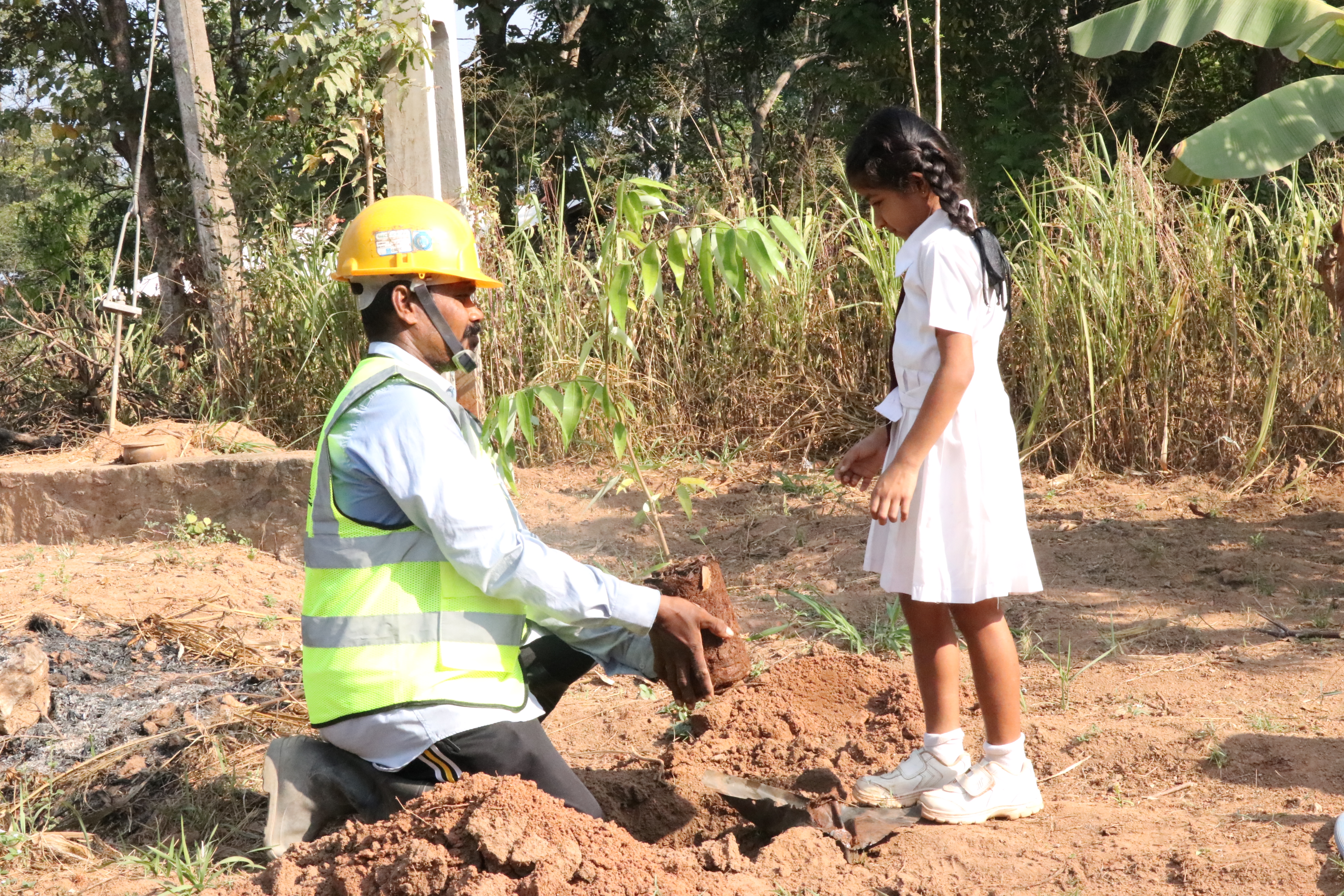 学生参与植树 (2).JPG