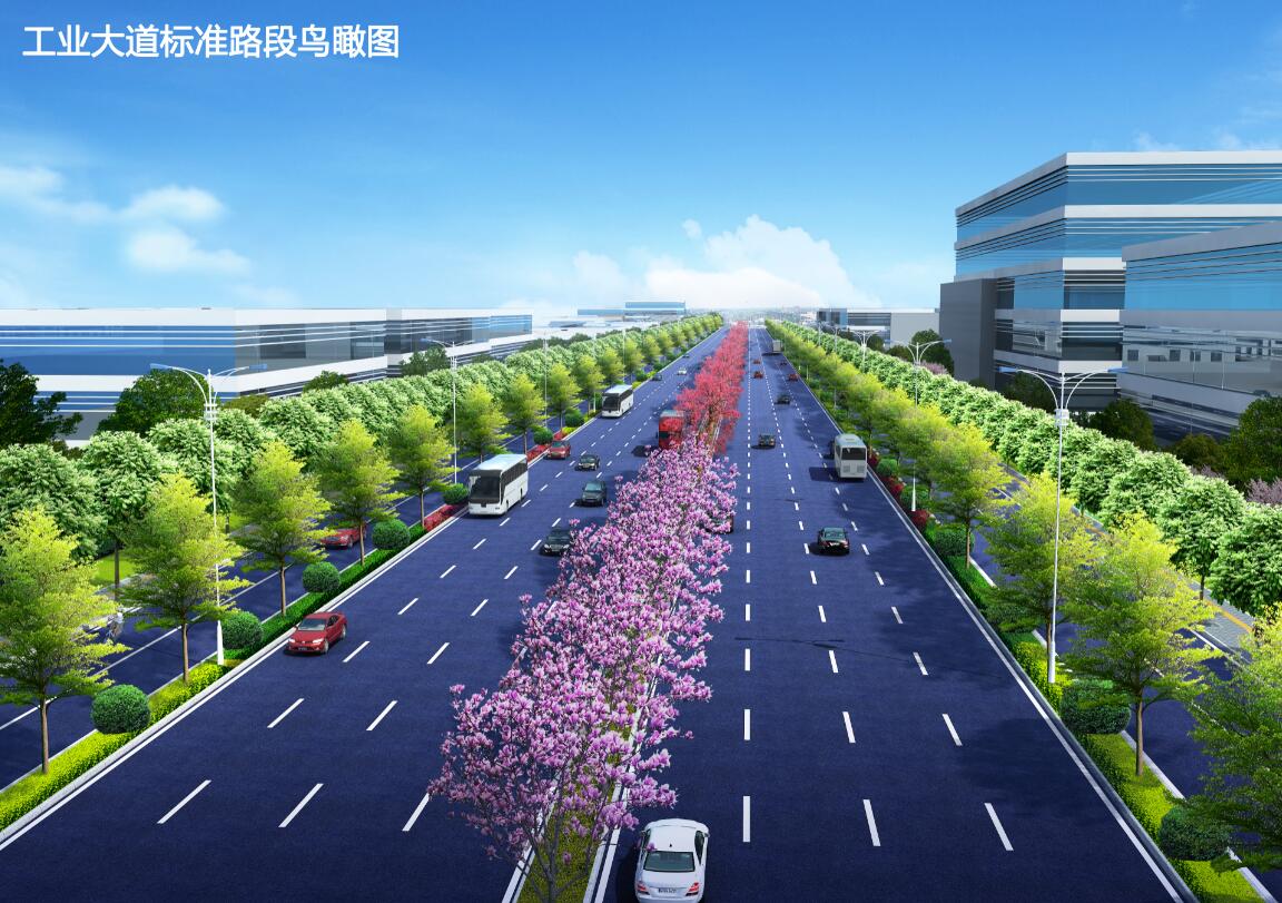 白平大道标准路段鸟瞰图