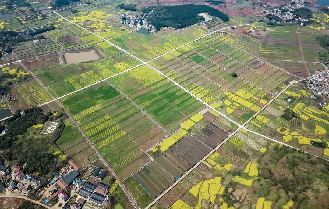 平原、盆地区高标.png 平原、盆地区高标.png